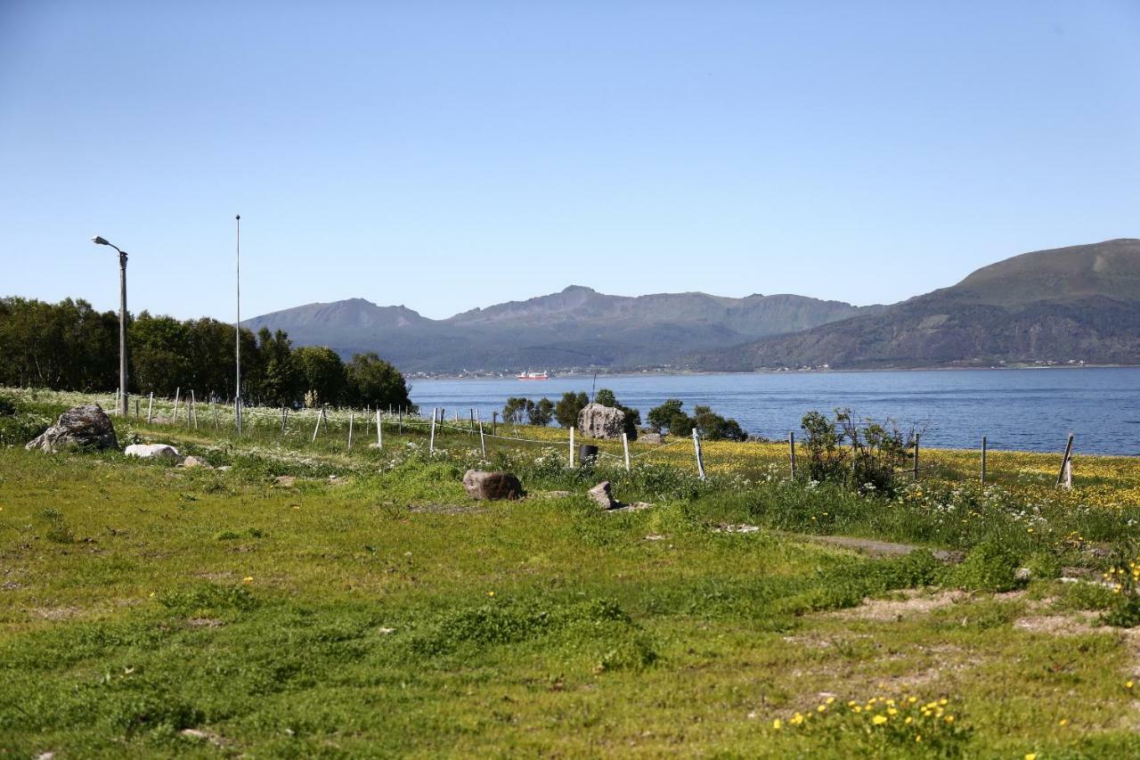 Villa Nesodden, Holdoy Svolvær Exterior foto